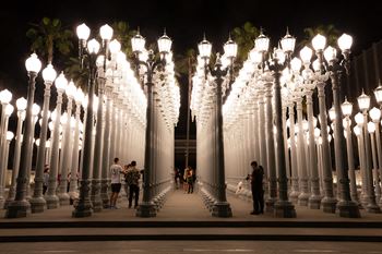Neighborhood-close to museum row, including the los angeles county museum of art!