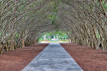 Botanical garden