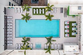 Miami apartment for rent - Aerial view of a swimming pool at Windsor Ludlam Trail in Miami, FL.