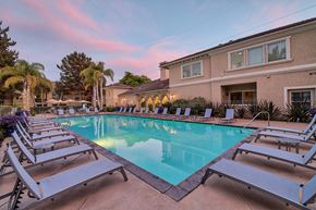 Carlsbad apartment for rent - Pool surrounded by Sundeck and Lounge Chairs at Windsor Aviara, Carlsbad, 92011