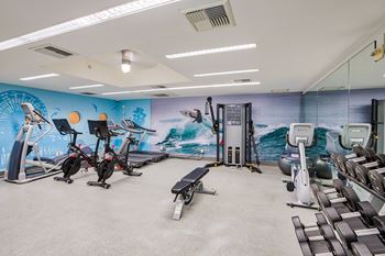 Amenities-fitness center