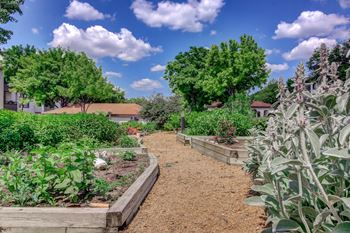 Community garden