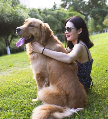 Dog friendly community