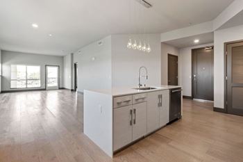 Kitchens with chef-inspired appliances and finishes