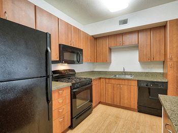 Modelhomes- black kitchen appliances