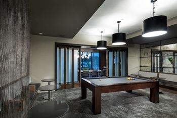 Amenities-pool table