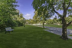 Ypsilanti apartment for rent - A park with a bench and a tree.