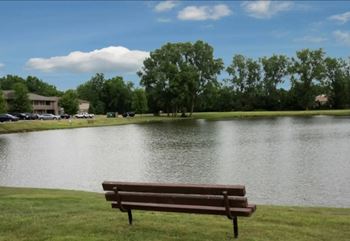 Pond