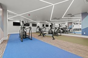 Southfield apartment for rent - A gym with a blue mat and exercise equipment.