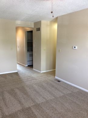 Olathe townhouse for rent - Living room in the Yeakel Townhome, featuring a carpeted floor and a wall.