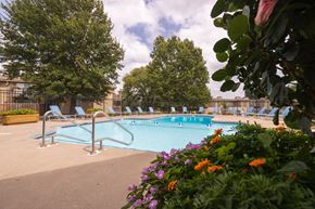 Liberty apartment for rent - Wilshire swimming pool, surrounded by well-maintained landscaping and seating for residents to enjoy.
