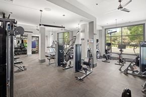 Decatur apartment for rent - a gym with weights and cardio equipment in a building with large windows