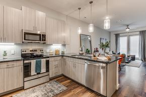 Grapevine apartment for rent - a kitchen with stainless steel appliances and a counter top