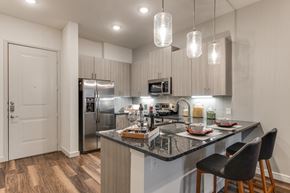 Grapevine apartment for rent - a kitchen with granite counter tops and stainless steel appliances