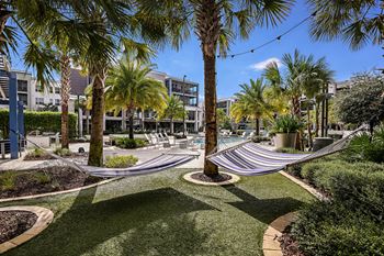 Tranquil palm hammock grove and firepit