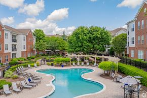 Raleigh apartment for rent - A large swimming pool surrounded by lounge chairs and umbrellas.