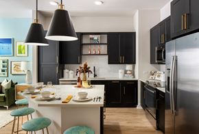 Tampa apartment for rent - kitchen