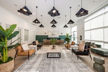 Maitland apartment for rent - A living room with a large rug and a coffee table.