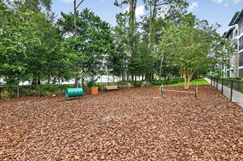 Bark park