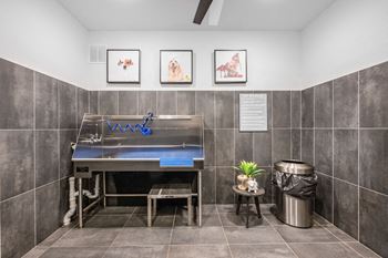 Self-service pet grooming spa