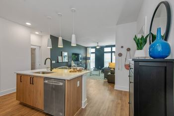 Wood-style plank flooring throughout homes