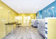 Jersey City apartment for rent - A kitchen with a yellow wall and a wooden floor.