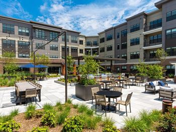 Outdoor social spaces