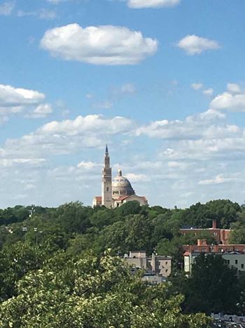 Roof deck view