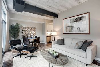 Living room with grey couch