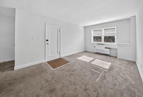 Silver Spring apartment for rent - A room with a carpet, a door, a window with a view of trees and a small table.