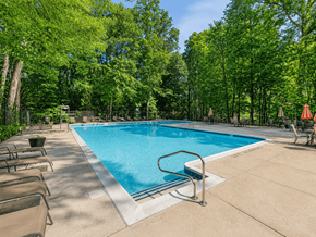 Rockville apartment for rent - A pool surrounded by trees and lounge chairs.