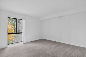 Washington apartment for rent - A room with a carpeted floor and a window with a view of trees outside.
