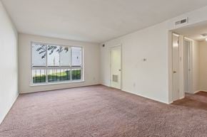 Washington apartment for rent - A room with a carpeted floor and a window with a view of a fence and trees.
