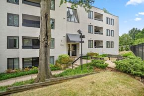 Washington apartment for rent - a white apartment building with a tree in front of it