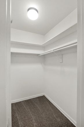 Washington apartment for rent - a white room with a carpet and a light on the ceiling