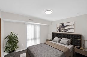 Washington apartment for rent - a bedroom with a bed and a plant