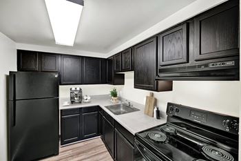 Fully equipped kitchens with ample cabinet space