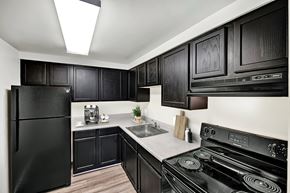 Washington apartment for rent - A black fridge and stove in a kitchen with wooden cabinets.