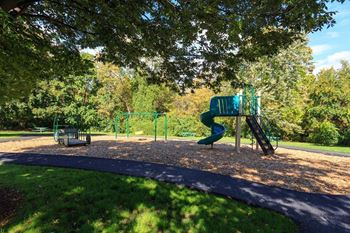 Creekside picnic area and playground