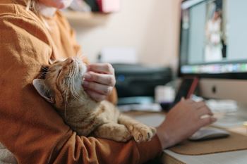 Dog and cat friendly
