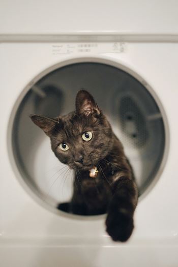On-site laundry room