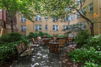 Courtyard garden
