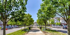 Suitland apartment for rent - a picture of a park with trees and cars at Windsor Crossing Senior, Suitland 