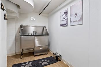 New pet wash station