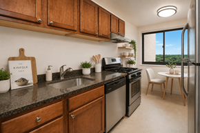 Silver Spring apartment for rent - A kitchen with wooden cabinets and a black countertop.