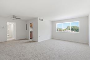 Hyattsville apartment for rent - A spacious room with a carpeted floor and a window showing a view of trees and a building.