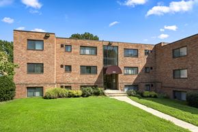 Hyattsville apartment for rent - Lush Green Outdoors at Overlook Apartments, Maryland
