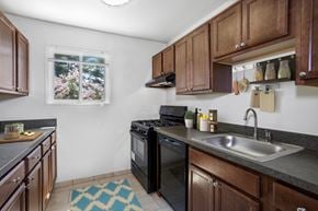 Hyattsville apartment for rent - kitchen at Overlook Apartments, Hyattsville
