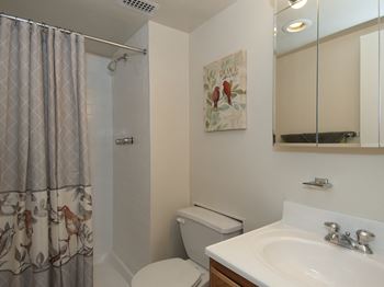 Bathroom with bathtub
