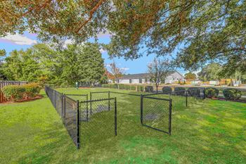 Dog run